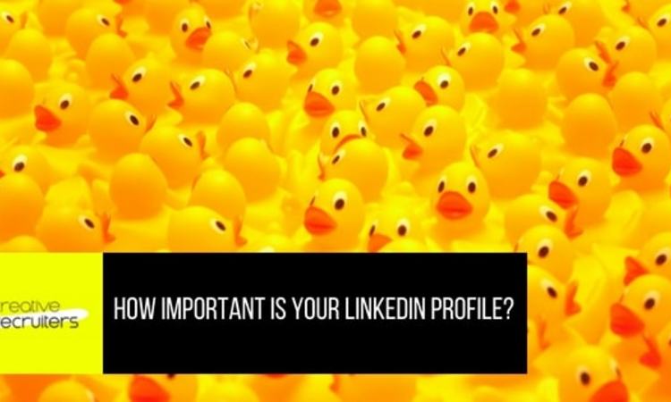 How Important Is Your LinkedIn Profile Vanessa Dolan